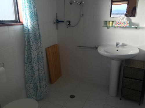 HawardenBentleys Country Stay的一间带水槽和淋浴帘的浴室