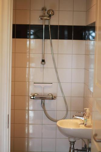 斯泰厄Stege Nor的带淋浴和盥洗盆的浴室