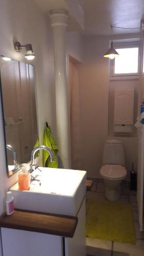 哥本哈根床和淋浴住宿加早餐旅馆的一间带水槽和卫生间的浴室