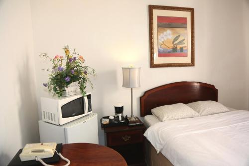 伯克利纳什酒店的一间卧室配有一张床、一台电视和一张桌子