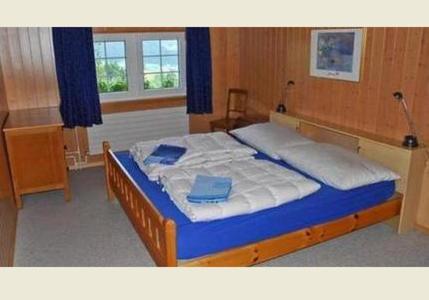 Gais费瑞豪斯布兰德酒店的一间卧室配有一张带蓝色枕头的大床