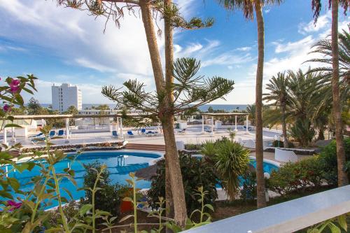 莫罗德哈布雷马特拉尔公寓酒店的度假村内棕榈树游泳池