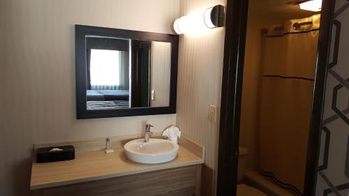 刘易斯顿AArtpark Hotel Inn at Lewsiton的一间带水槽和镜子的浴室