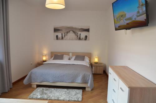 米卢夫卡Apartamenty Milówka Centrum的卧室配有一张床,墙上配有电视。