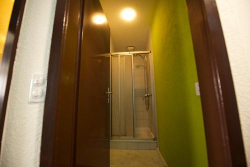 温特图尔阿尔巴尼酒店的一间带步入式淋浴间和镜子的浴室