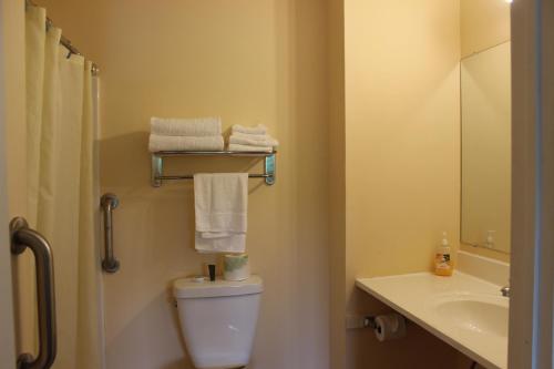 Canaan伯克希尔旅行旅馆的一间带卫生间、水槽和镜子的浴室
