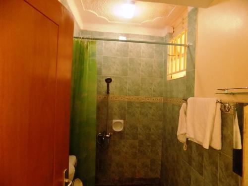 MasakaPalm Springs Hotel Masaka的一间带绿色淋浴帘的淋浴的浴室