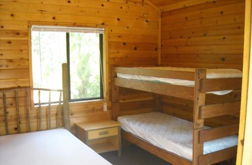 Harden Flat优胜美地湖34号度假屋的小木屋内一间卧室配有两张双层床