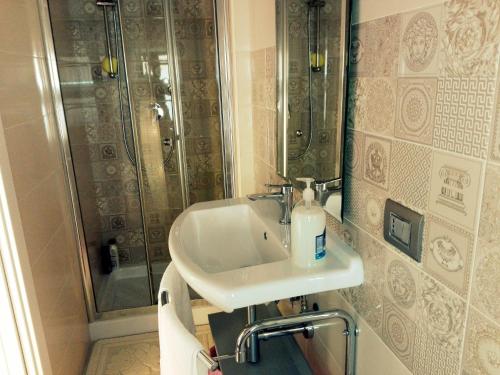 塔兰托B&B San Francesco的一间带水槽和淋浴的浴室
