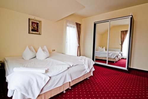 克卢日-纳波卡Pensiunea Schwartz的酒店客房,设有两张床和镜子
