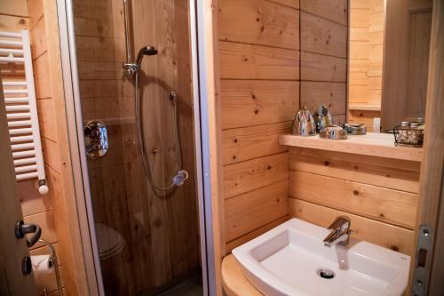 布吕松Au Rascard的浴室配有盥洗盆、淋浴和盥洗盆。
