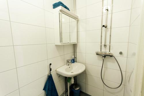 IniöVilla Högbo的一间带水槽和淋浴的浴室