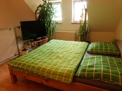 苏希采Apartmán Susice的一间卧室配有两张带绿色拼盘床单的床