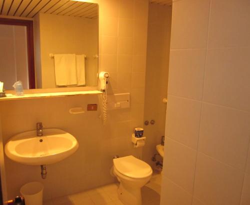 蒙泰保内米拉波公园酒店的一间带水槽、卫生间和镜子的浴室
