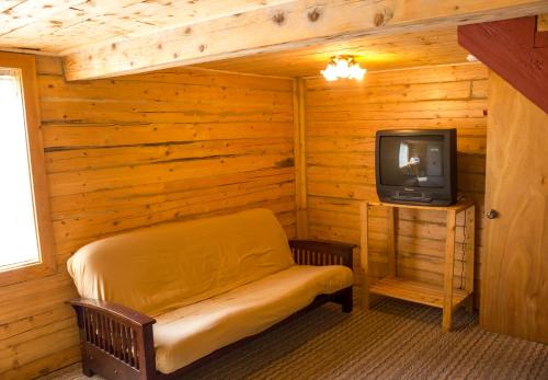 Moose Pass午夜太阳山林小屋的小屋内配有电视和床的房间
