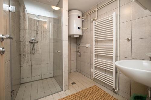 博希尼Turistična kmetija Gartner的带淋浴和盥洗盆的浴室