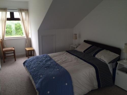 BallylongfordGreenfields Farmhouse的一间卧室设有一张大床和一个窗户。