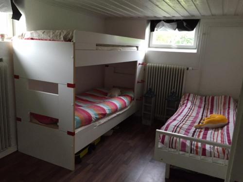 埃克奈斯Lingonberry Cottage的一间卧室设有两张双层床和一扇窗户。