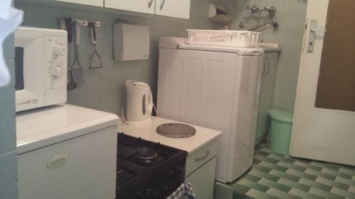 洛夫兰Apartment Saric的小厨房配有炉灶和冰箱