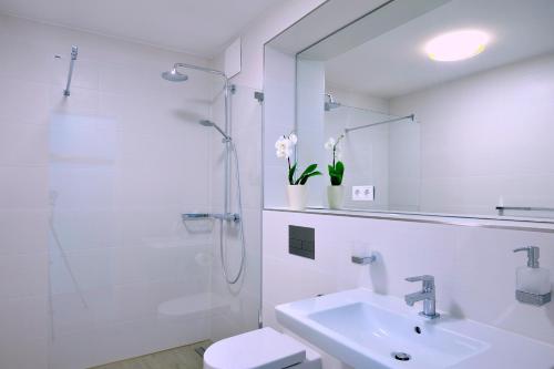海利根达姆Linden Palais Heiligendamm Apartments的带淋浴和盥洗盆的白色浴室