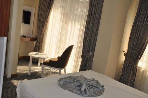 安卡拉赛拉大酒店的客房设有床、椅子和窗户。