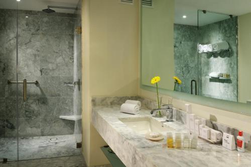 锡劳HS HOTSSON Hotel Silao的一间带水槽和淋浴的浴室