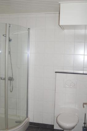 OdiliapeelVino Grando Cottage的带淋浴、卫生间和盥洗盆的浴室