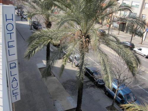 埃普拉特约布里加Hotel Blauet by Bossh Hotels的停车场前的棕榈树