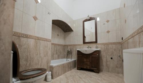 布拉索夫Poarta Schei Residence的一间带卫生间、水槽和镜子的浴室