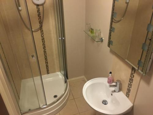 彼得斯菲尔德哈福莫尼宾馆的带淋浴和盥洗盆的浴室