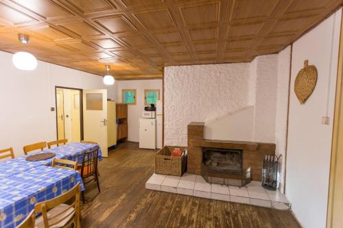 迪耶河畔弗拉诺夫Cyklochata的客厅设有2张桌子和壁炉