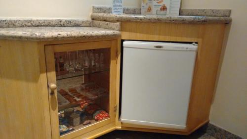 里约热内卢Magnus Norte Hotel (Adult Only)的厨房配有冰箱和台面