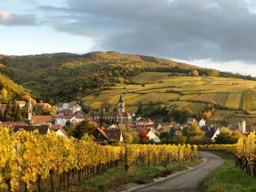 希伯维列Gîte Au Coeur De Ribeauvillé的山丘上的村庄,有葡萄园和道路