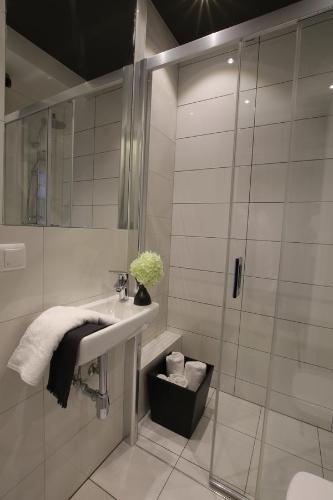 比得哥什兹博泽维里内克2号公寓的一间带水槽和淋浴的浴室