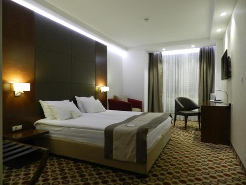 索非亚索非亚中心大酒店的配有一张床和一把椅子的酒店客房