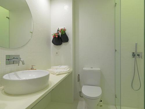 波尔图FLH Porto Portuguese Apartments的一间带水槽、卫生间和镜子的浴室