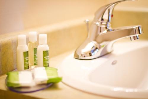 温尼伯公园西旅馆的浴室盥洗盆,内有肥皂和牙刷