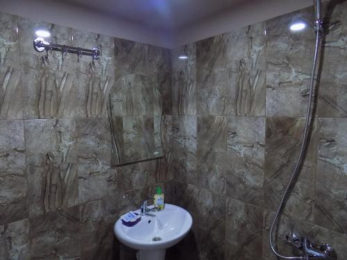 阿哈尔齐赫新星酒店的一间带水槽和淋浴的浴室