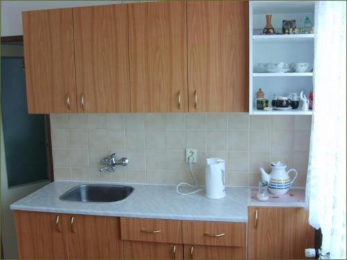 CrhovApartmán Eva的一个带水槽和木柜的厨房台面