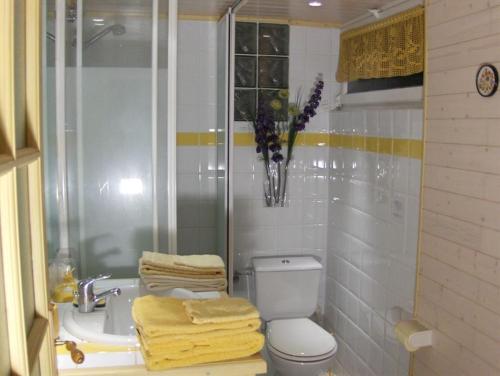 伊尔基希-格拉芬斯塔登运河住宿加早餐旅馆的浴室设有卫生间、水槽和毛巾