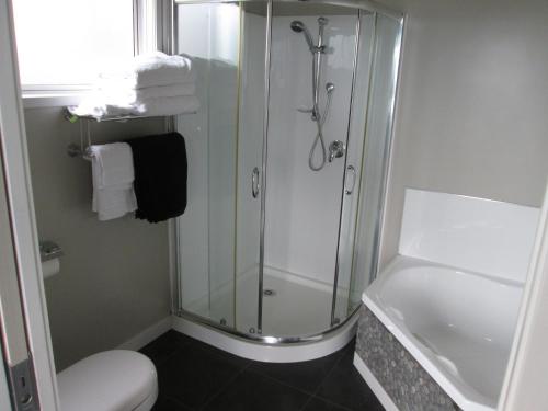 纳尔逊Beach side Apartment Nelson的带淋浴和卫生间的浴室