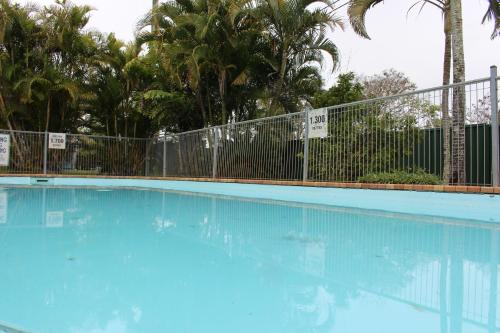 玛丽伯勒亨茨维尔大篷车假日公园的一个带围栏和棕榈树的蓝色游泳池