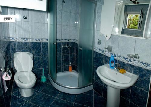 Apartments Gojkovic的一间浴室