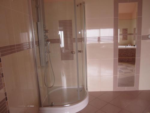 弗罗茨瓦夫帕拉迪索别墅旅馆的带淋浴的浴室和玻璃门