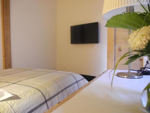 比什维莱尔洛斯住宿加早餐旅馆的卧室配有一张床,墙上配有电视。