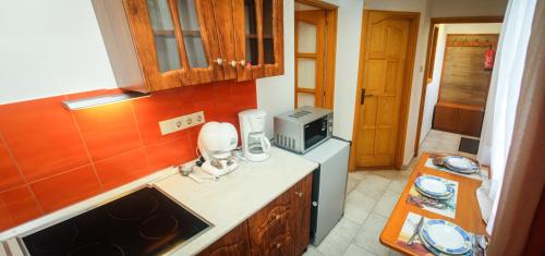 PüspökladányAQUA索特阿比亚温泉公寓的厨房配有水槽和台面