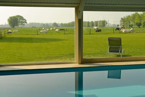 达默Domein Het Weiland的羊群中带椅子的窗户