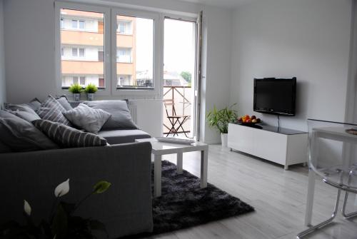科沙林Apartament 1Maja的带沙发和电视的客厅