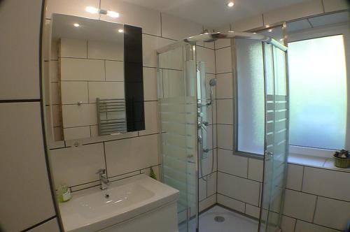 萨尔巴赫Apartment Edith Top 1的一间带玻璃淋浴和水槽的浴室