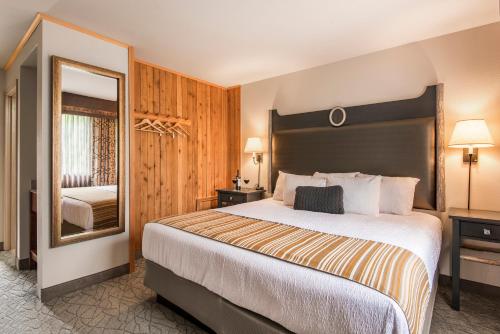 麦金利公园麦金利小木屋度假村的配有一张大床和镜子的酒店客房